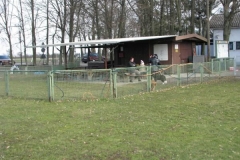 Hundeplatz1