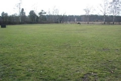 Hundeplatz2