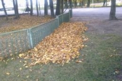 Laubtag_10