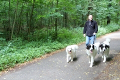 Zughunde_Oberwald_01_07_2017_02