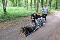 Zughunde_Oberwald_01_07_2017_07